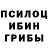 Галлюциногенные грибы Psilocybine cubensis bakhtri