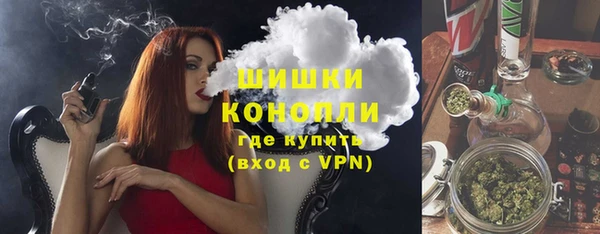 сатива Каменногорск