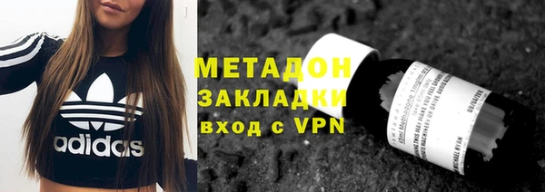 сатива Каменка