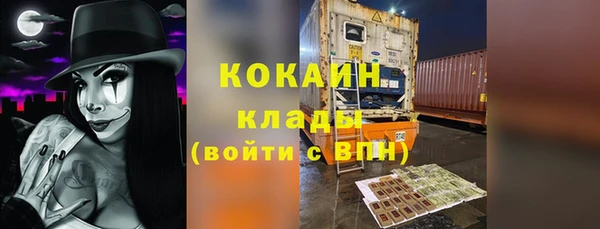 сатива Каменка