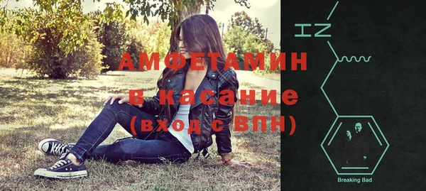 сатива Каменногорск