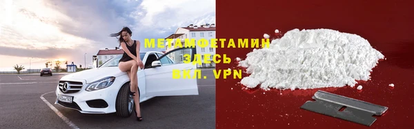 сатива Каменка