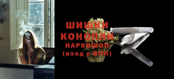 ПСИЛОЦИБИНОВЫЕ ГРИБЫ Карпинск