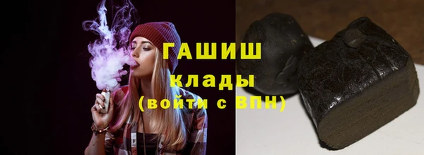 сатива Каменка