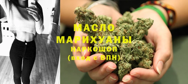 сатива Каменногорск