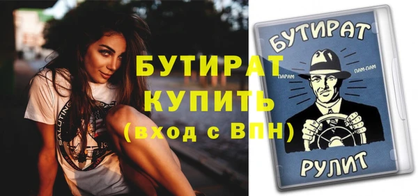 сатива Каменка