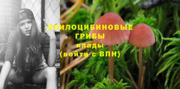 ПСИЛОЦИБИНОВЫЕ ГРИБЫ Карпинск