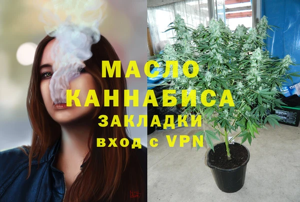 сатива Каменногорск