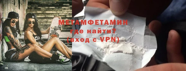 сатива Каменка