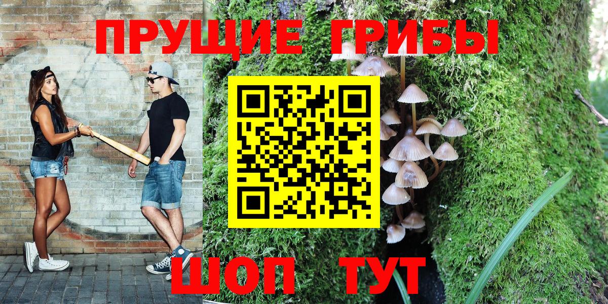 Саянск  Галлюциногенные грибы Psilocybine cubensis  Вход с VPN 